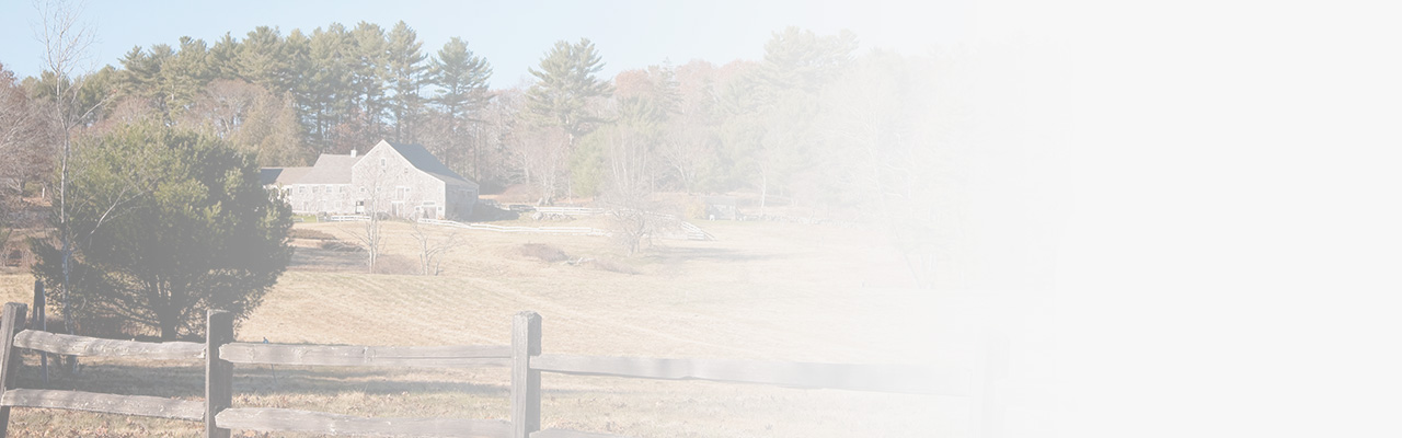 rural landscape